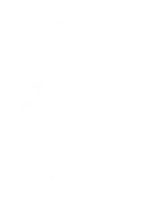 Bundesliga Streaming